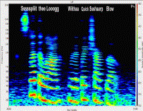 Spectrograph of Female Voice